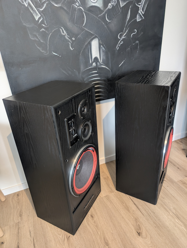 Cerwin Vega EE-312B
