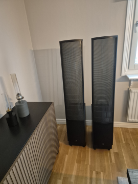 Martin Logan ESL