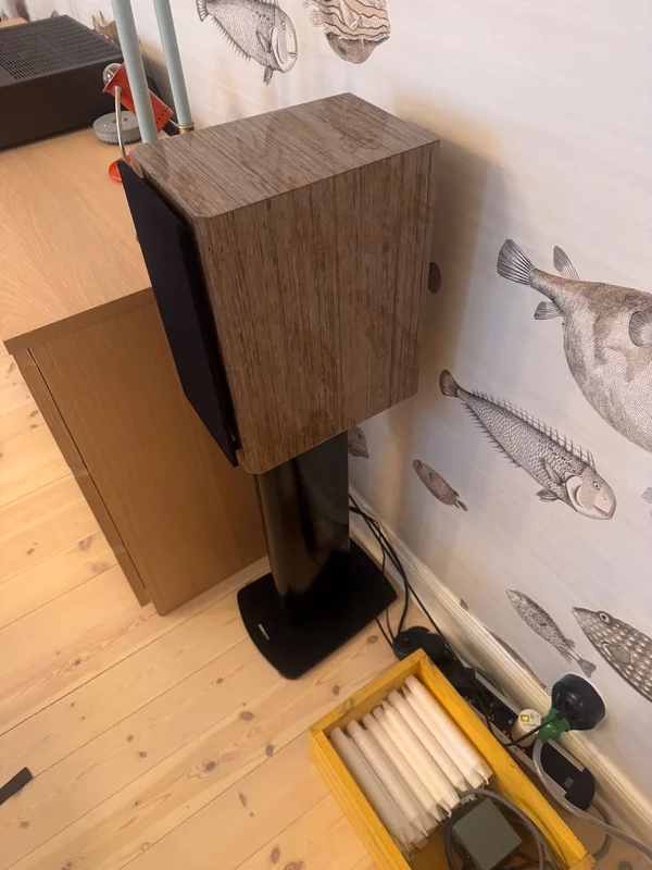 Dynaudio Special Forty Dynaudio Special Forty - Bild 2 av 4