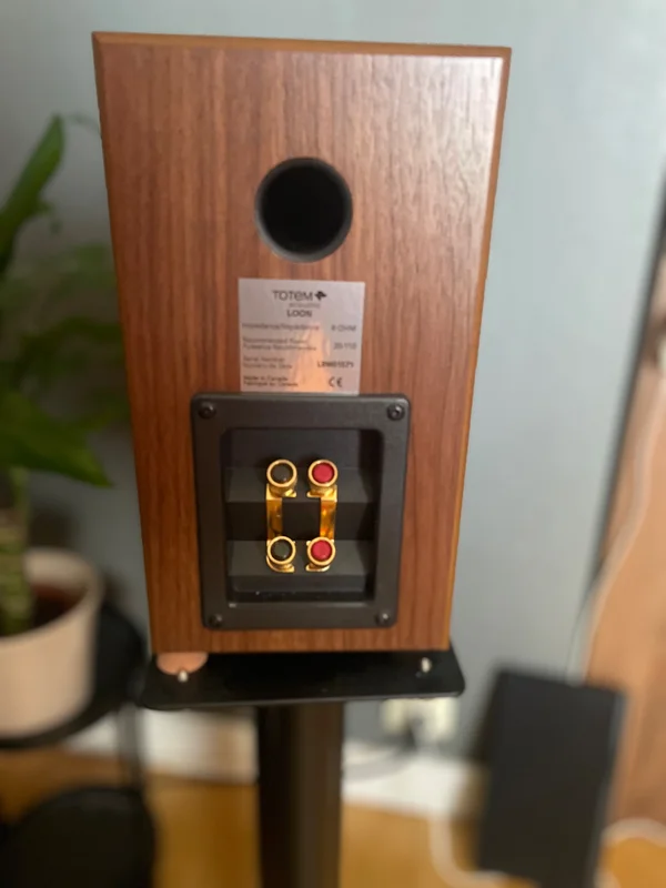 Totem Loon - Bild 2 av 7