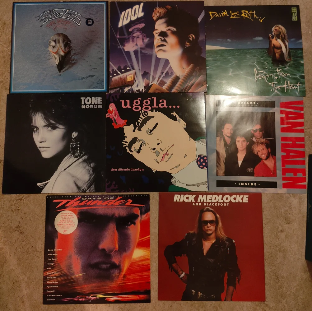 Vinylskivor x 53 - Bild 11 av 12