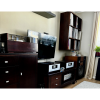 Pioneer Exclusive M5 