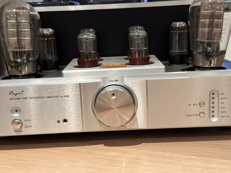 Cayin 300B med flera olika 300B-rör - Bild 7 av 11