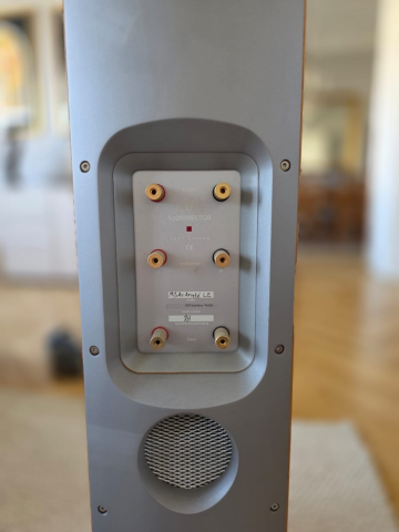 Audiovector MI3 Avantgarde Arreté LE