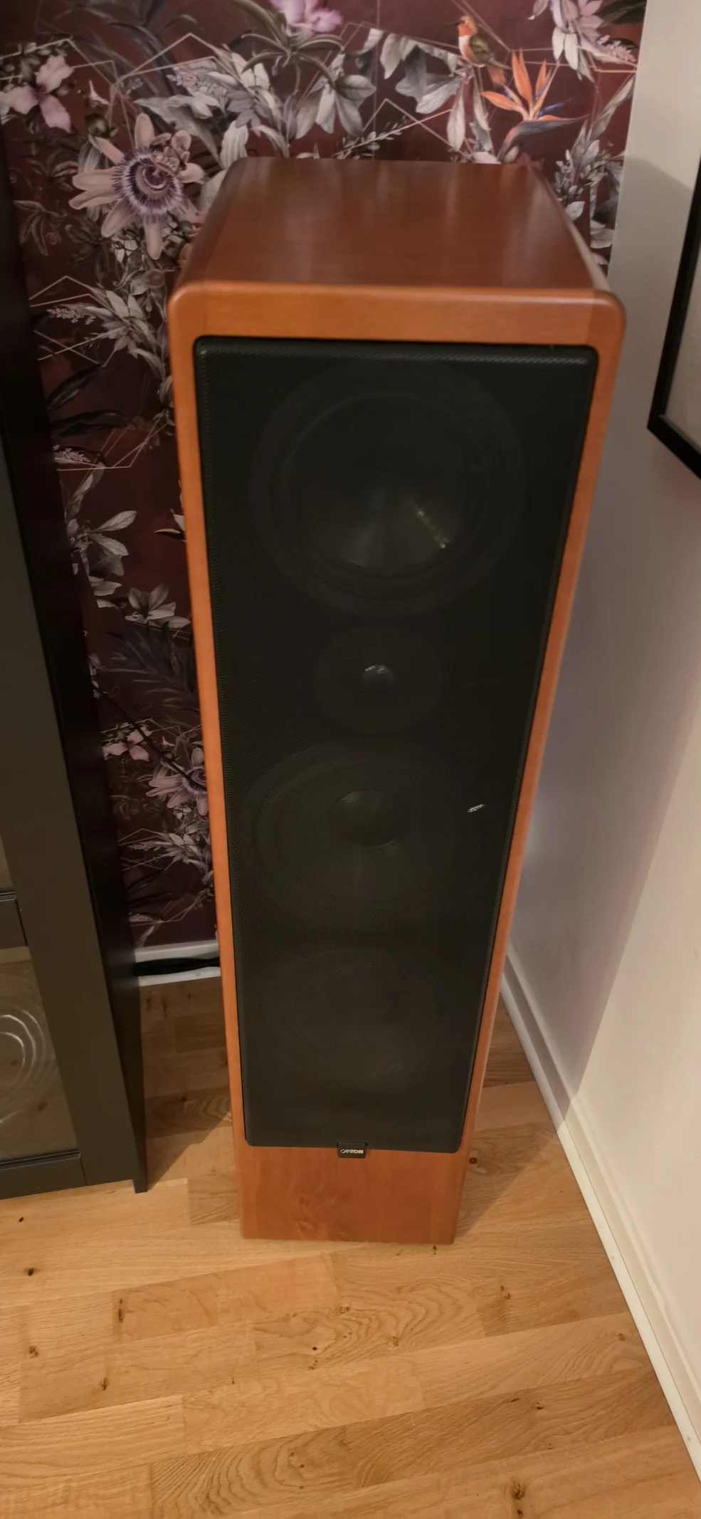 Canton Ergo RC-L golvhögtalare (Utan EQ-box)