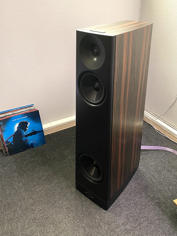 YG Ascent - Bild 1 av 1