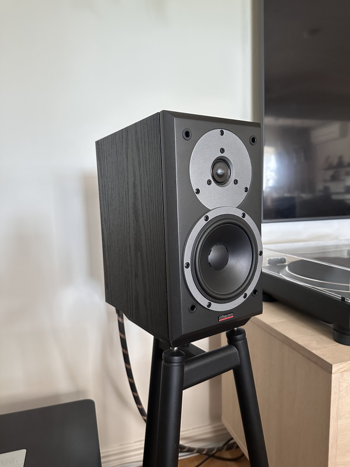 Dynaudio DM 2/6