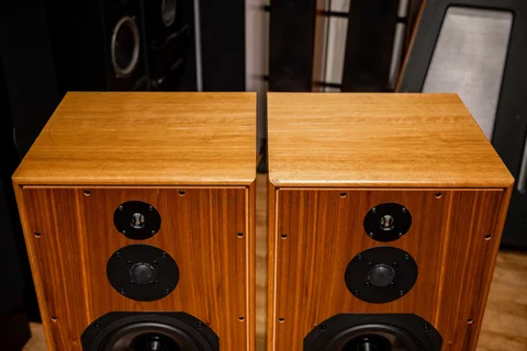 Begagnad Harbeth HL5 Plus inkl Skylan-stativ