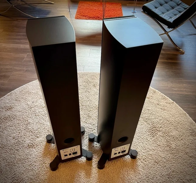 System Audio Legend 40 Silverback - Pre-Owned - Kuva 3 / 5