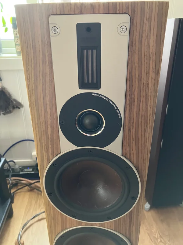 Dali Rubicon 6 med Spike set Premium  - Bild 4 av 4