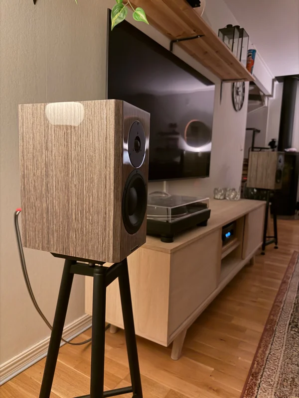 Dynaudio special forty grey birch - Image 1 of 2