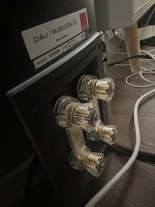 Dali Rubicon 8