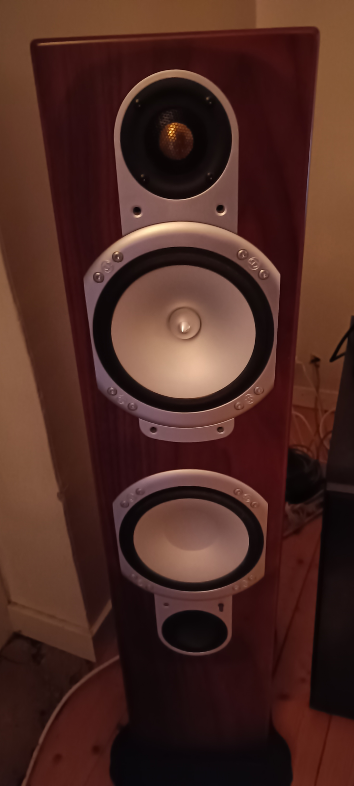 Monitor Audio RS6 silver 