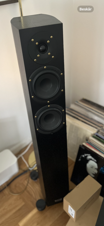 Audio Physic Spark V bytes mot Carlsson  - Bild 1 av 1