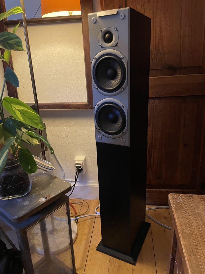 Audiovector Ki3 Signature 