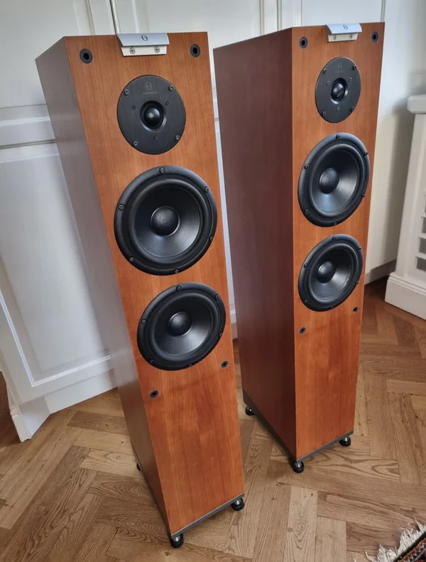 Audiovector M3 Signature golvhögtalare - Mint ConditIon Audiovector M3 Signature golvhögtalare - Mint ConditIon - Bild 1 av 4