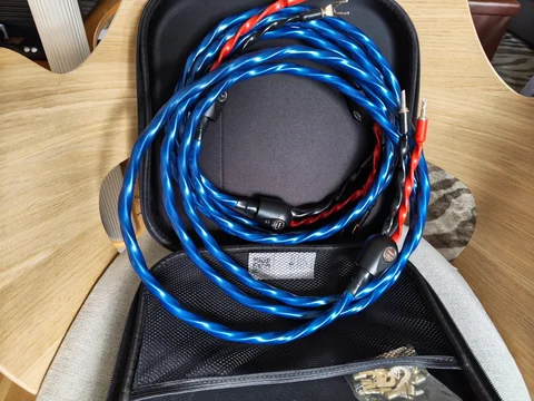 Wireworld Oasis 8
