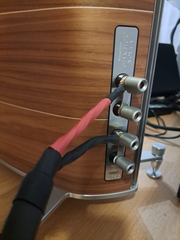 Sonus faber Olympica Nova V Sonus faber Olympica Nova V - Bild 10 av 11