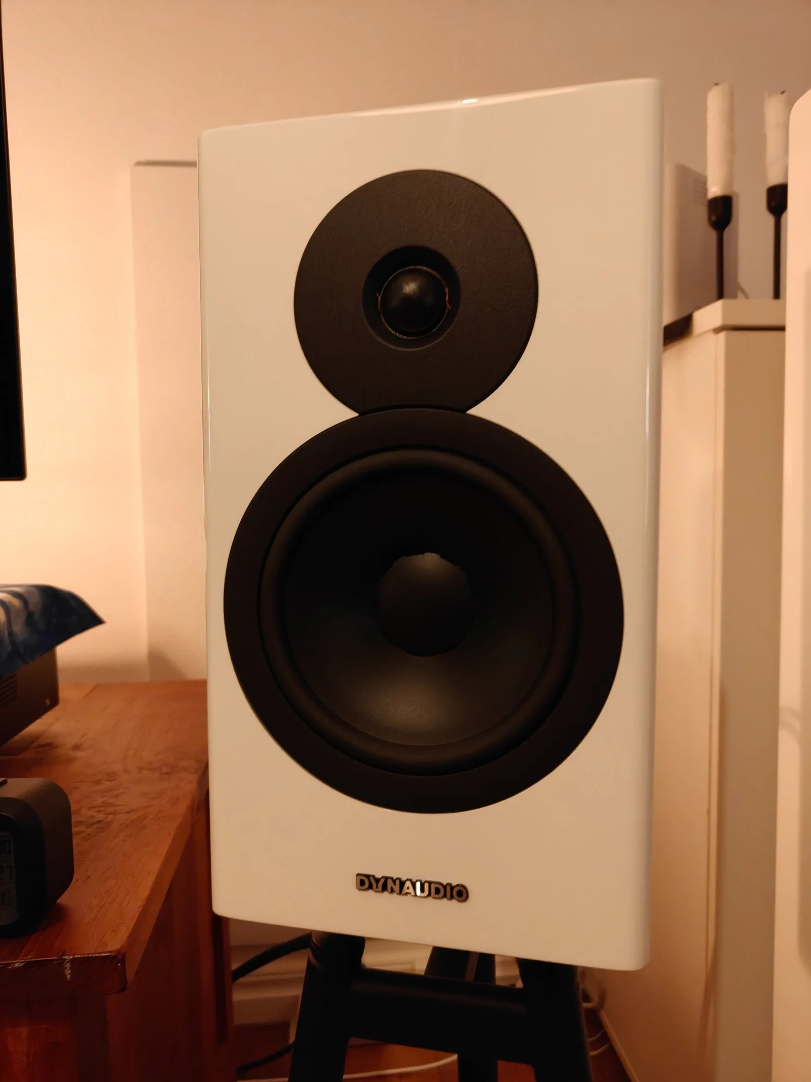 Dynaudio Evoke 20 + solid steel Dynaudio Evoke 20 + solid steel - Bild 1 av 4