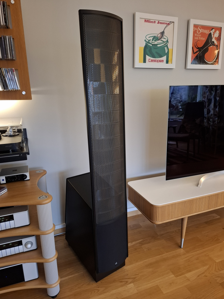 Martin Logan ESL-X