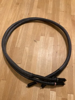 Sonus Concordia - Saturnus II - RCA 1m