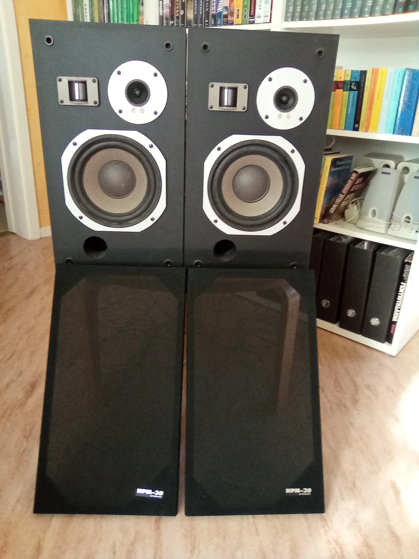 Pioneer hpm-30