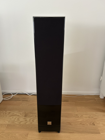 Dali Epicon 6 (valnöt)
