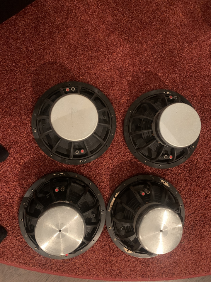 Acoustic Elegance dipoler 12tum D8