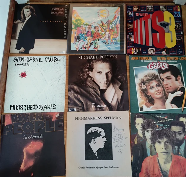 Vinylskivor s&auml;ljes i v&auml;ldigt gott skick - Bild 20 av 37