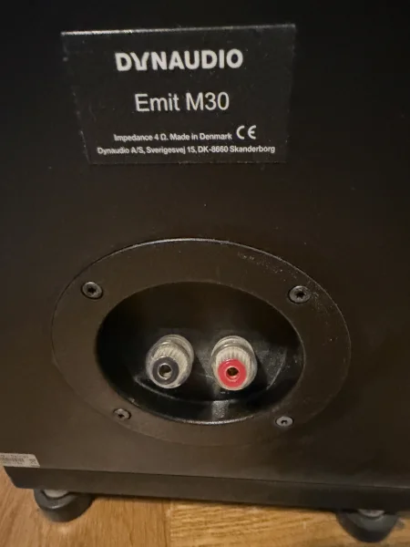 Dynaudio Emit M30 Golvh&ouml;gtalare Svarta  - Bild 3 av 5