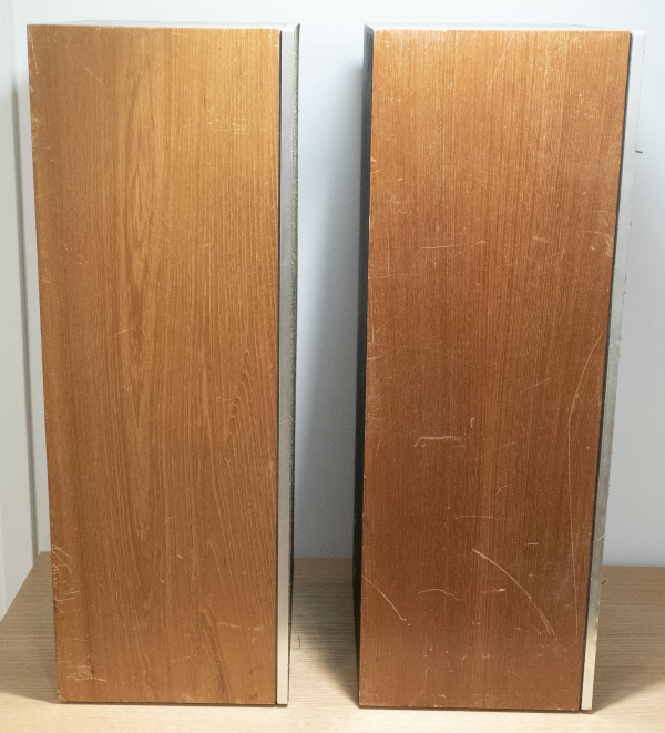 Celestion Ditton 25 - En defekt woofer - Bild 5 av 6