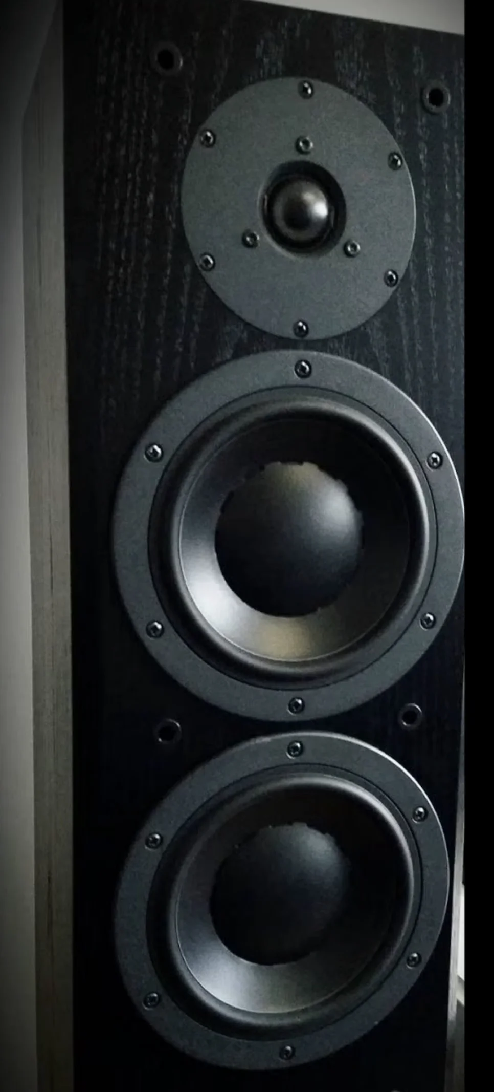 Dynaudio Focus 220 MKII Mint condition