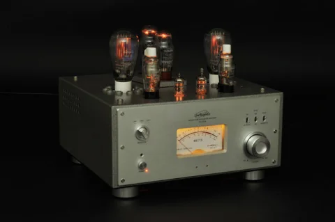 Söker Muzishare X9 eller Line Magnetic 210ia