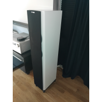 Dynaudio focus 260 vita