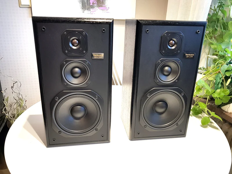 TECHNICS SB-CS95 H&ouml;gtalare - Bild 1 av 14
