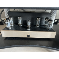 Golden Tube SE-40