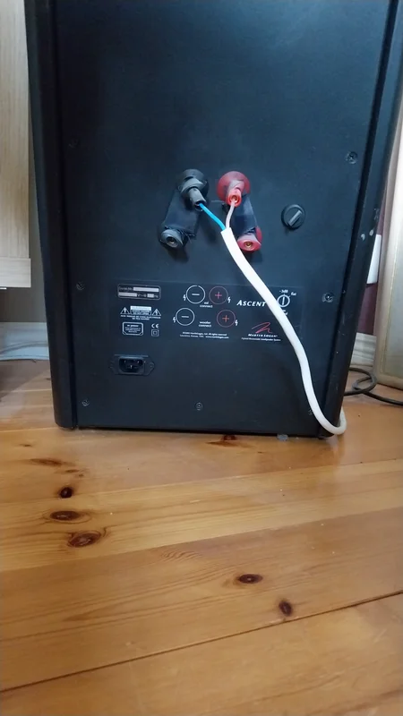 Martin Logan Ascent - Bild 4 av 7