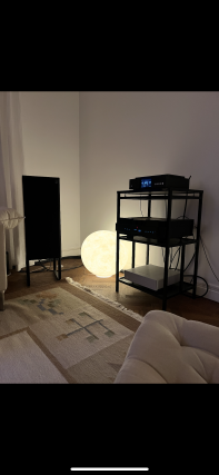 Auralic Aries G1