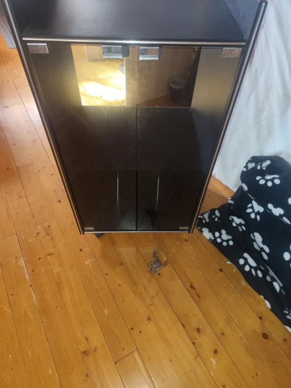 Stereom&ouml;bel / HiFi-rack fr&aring;n 90-talet f&ouml;r skivspelare och stereo - Bild 1 av 6