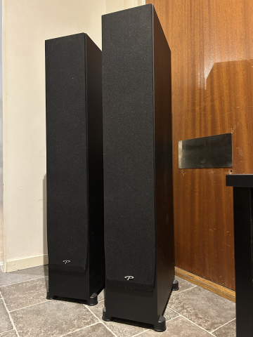 Paradigm Monitor SE 6000f
