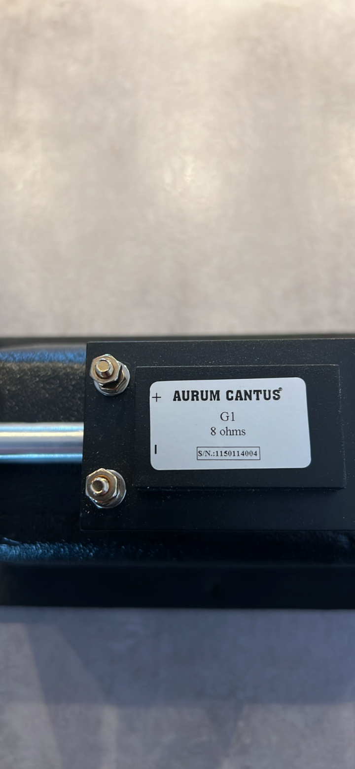 Aurum cantus G1 Acoustic Elegance TD8M