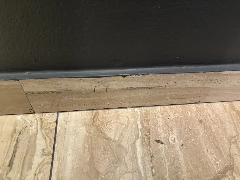 Wireworld Eclipse Wireworld Eclipse - Bild 2 av 3