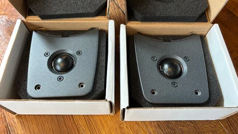 Dynaudio Esotar II