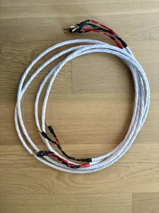 Wireworld Solstice 8 Wireworld Solstice 8