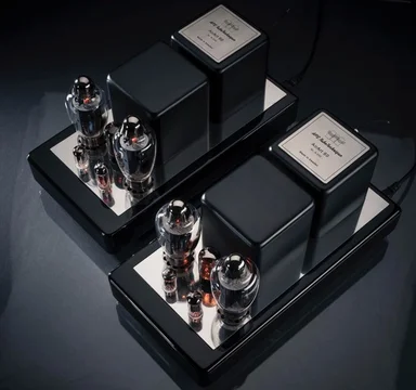 APS Airart 170 monoblocks.