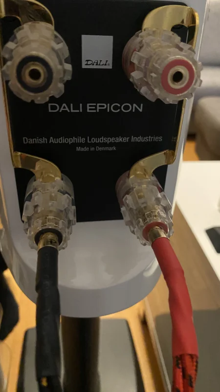 Dali Epicon 2 - Bild 5 av 7