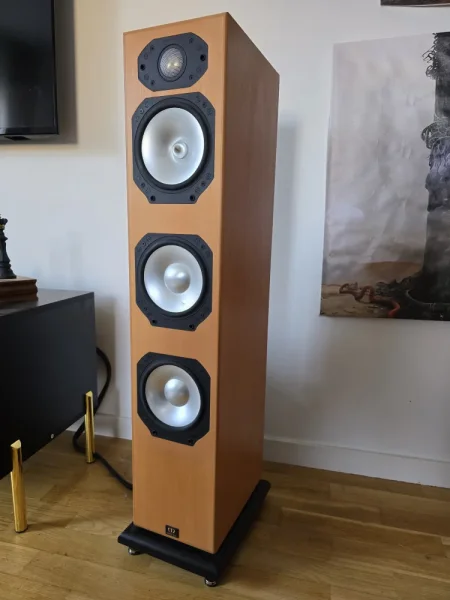 Monitor Audio Silver S8 &ndash; golvh&ouml;gtalare i bra skick - Bild 4 av 7
