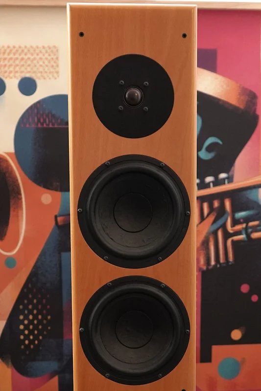 Vienna Acoustics Strauss golvh&ouml;gtalare till salu - Bild 2 av 8