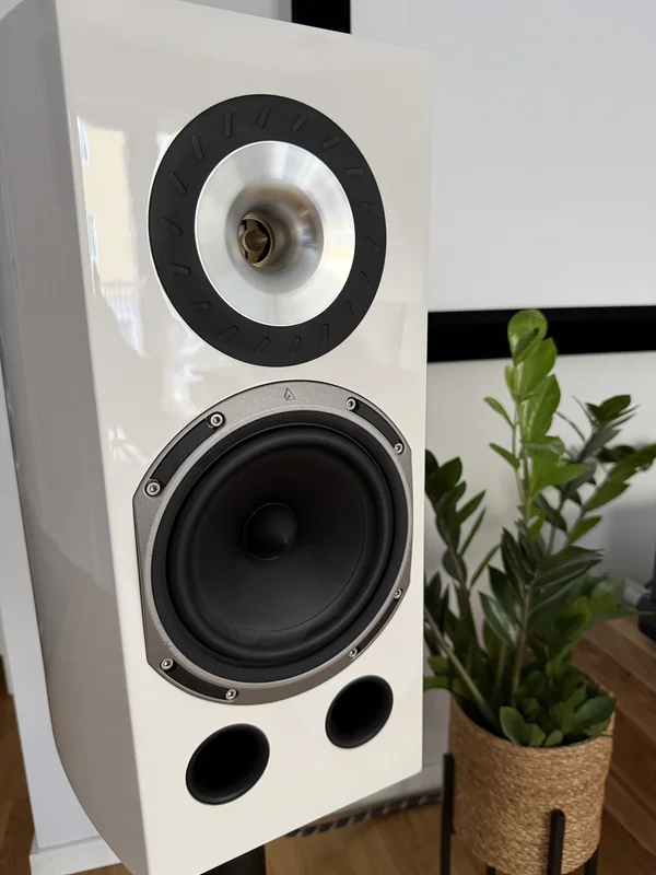 Triangle Magellan Duetto + Custom design rs300 Triangle Magellan Duetto + Custom design rs300 - Bild 3 av 4