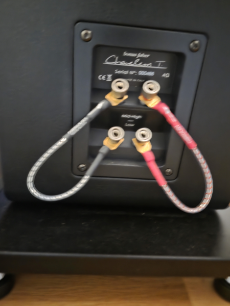 Sonus Faber Chameleon T Mint Condition - Bild 3 av 7